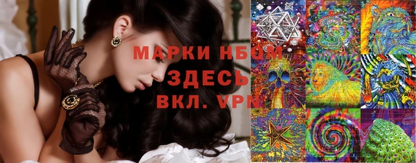 метадон Алексин